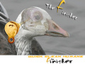 The Finisher® - Large Ol' Timer The Finisher® - Large Ol' Timer
